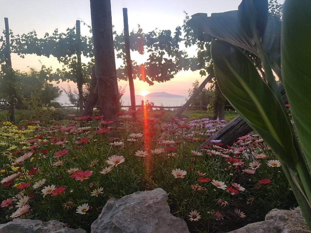 Agriturismo Del Sole Anacapri  Exterior photo