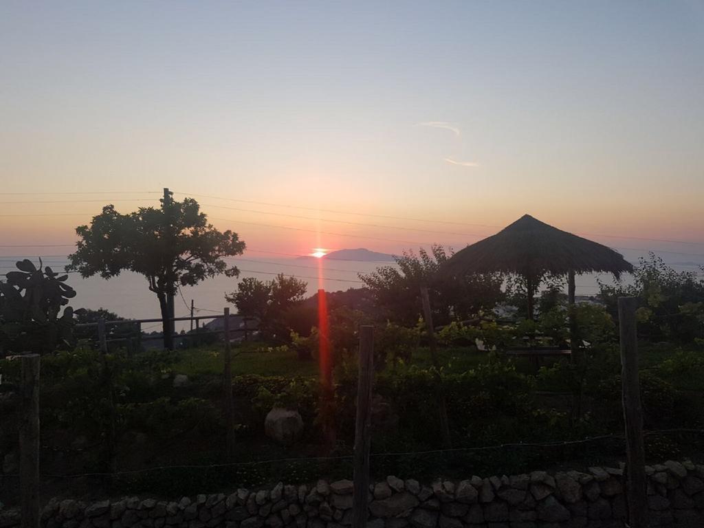 Agriturismo Del Sole Anacapri  Exterior photo