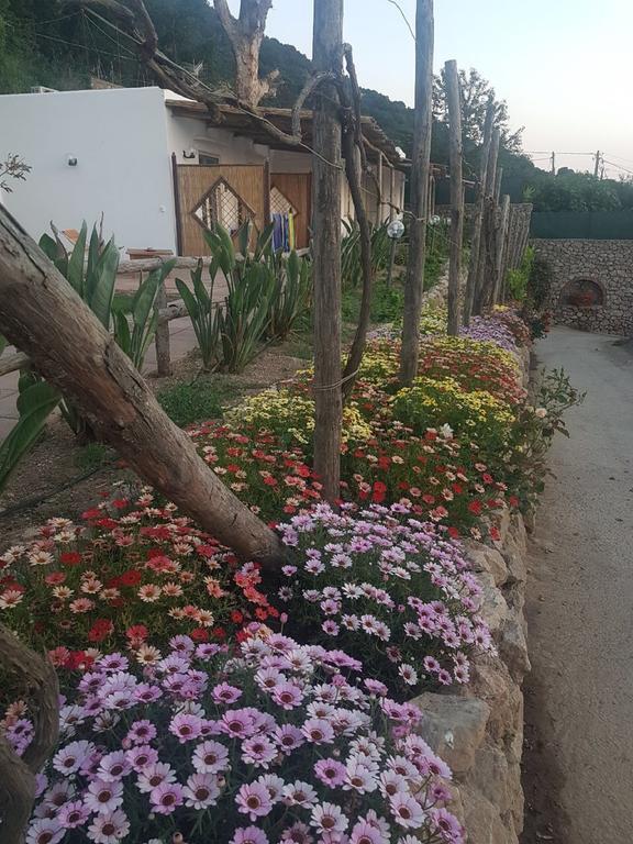 Agriturismo Del Sole Anacapri  Exterior photo