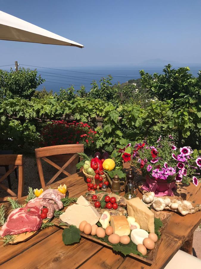Agriturismo Del Sole Anacapri  Exterior photo