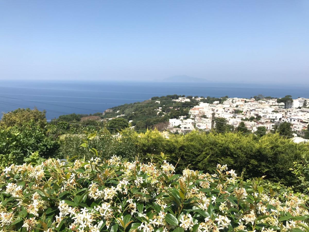 Agriturismo Del Sole Anacapri  Exterior photo